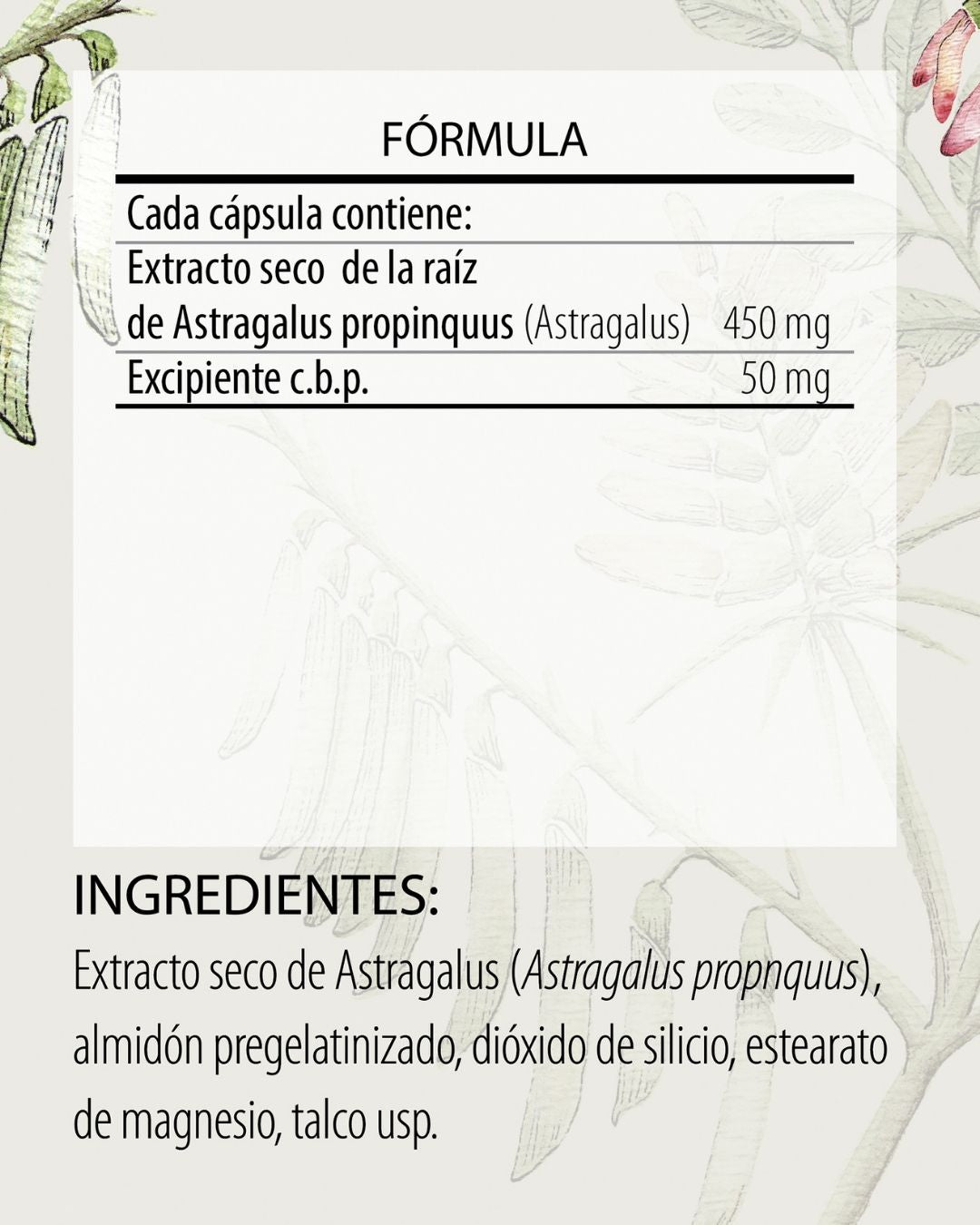 Astragalus