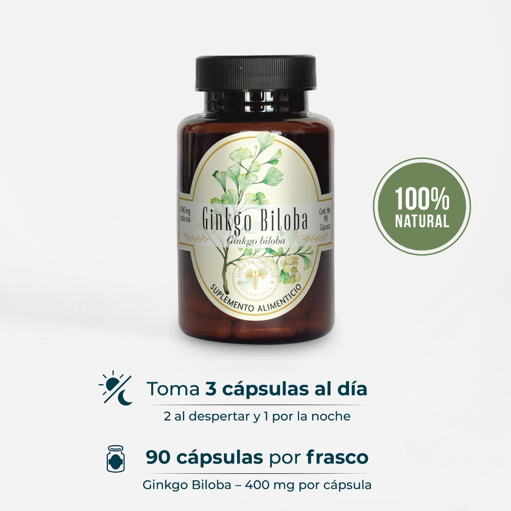Ginkgo Biloba