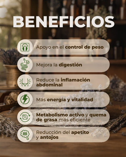Kit Metabolismo Activo