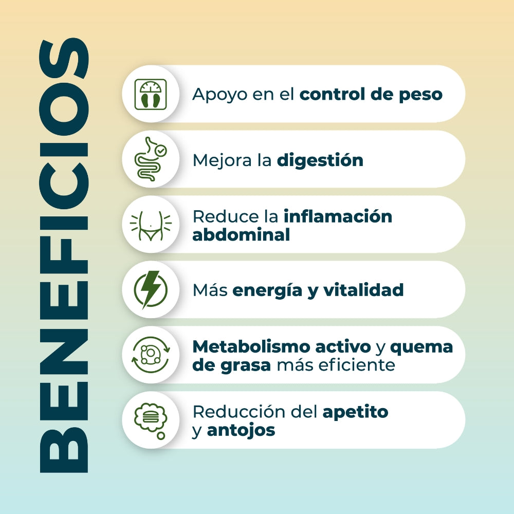 NUEVO Kit Metabolismo Activo