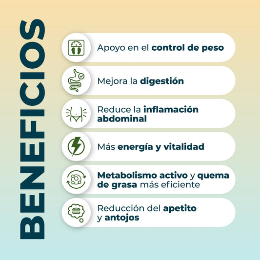Kit Metabolismo Activo