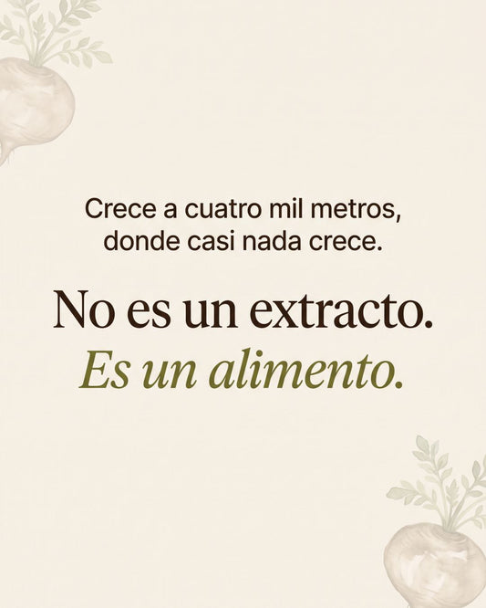 Maca