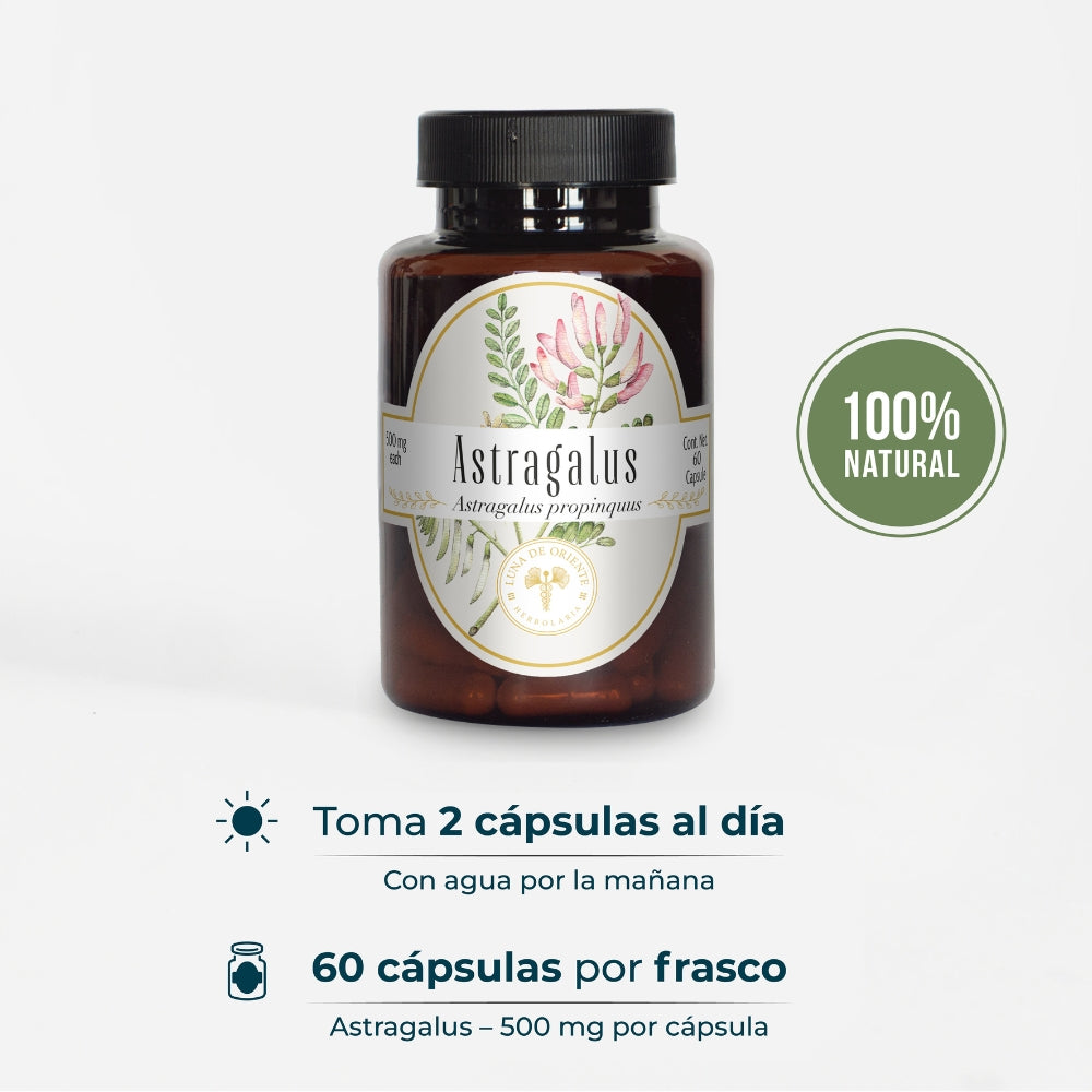 Astragalus