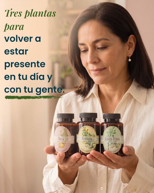 Kit Vitalize