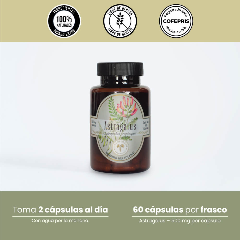 Astragalus