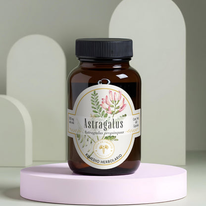 Astragalus