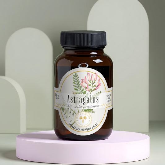 Astragalus