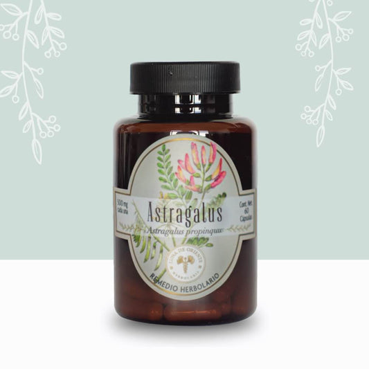 Astragalus