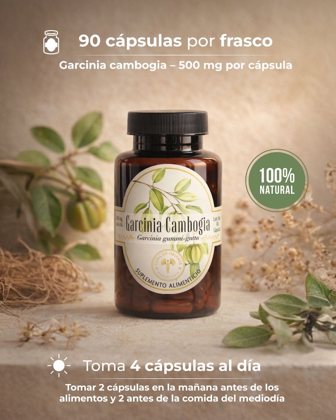 Garcinia Cambogia