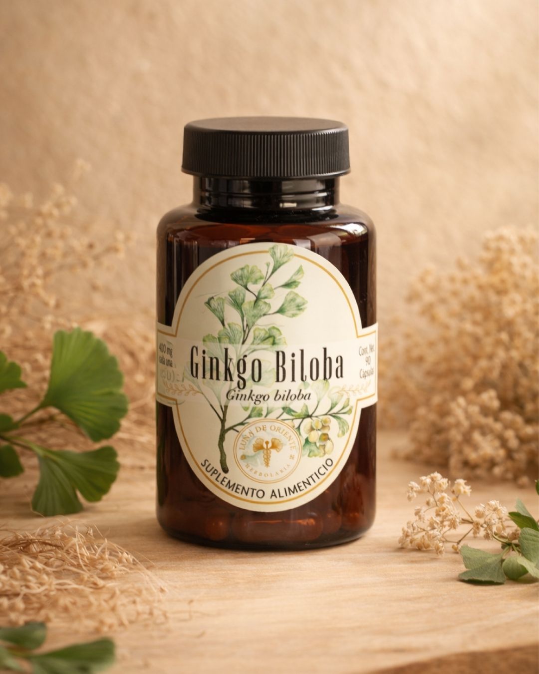 Ginkgo Biloba