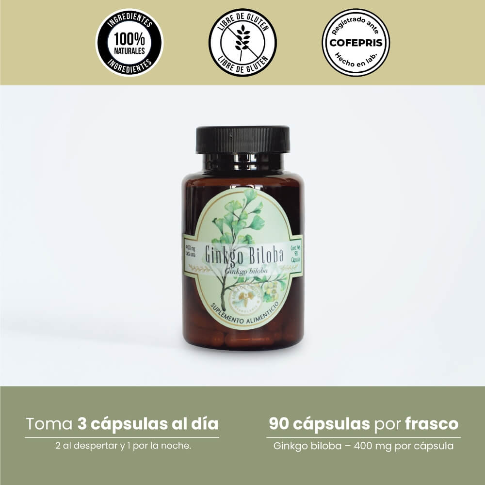 Ginkgo Biloba
