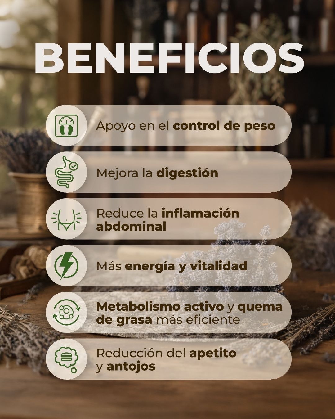 Kit Metabolismo Activo