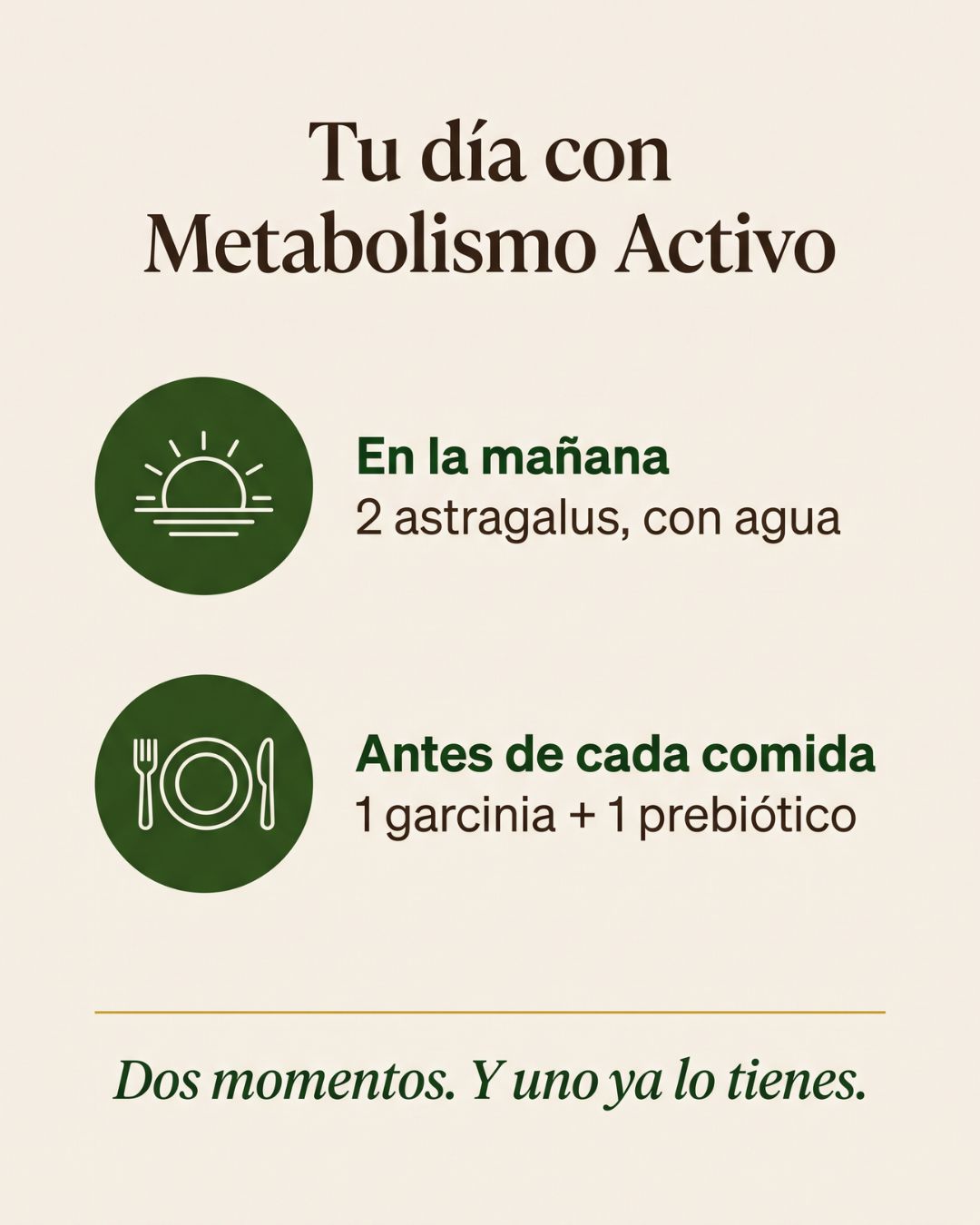 Kit Metabolismo Activo