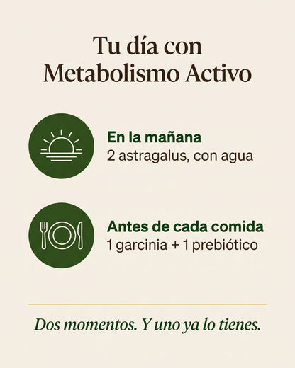 Kit Metabolismo Activo