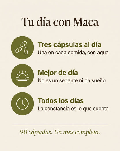 Maca