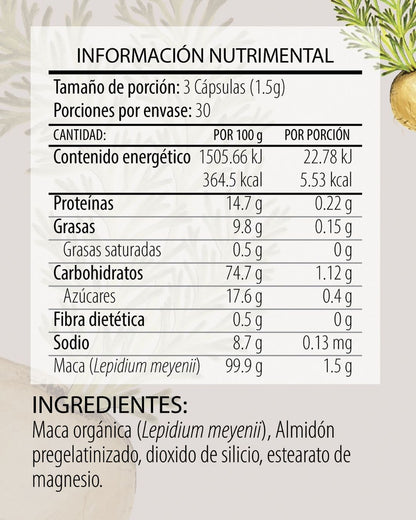 Maca