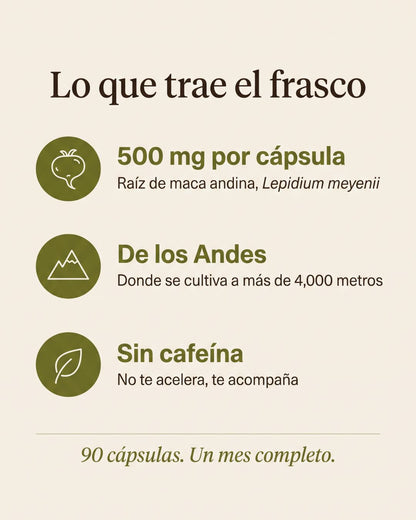 Maca
