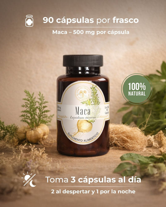 Maca