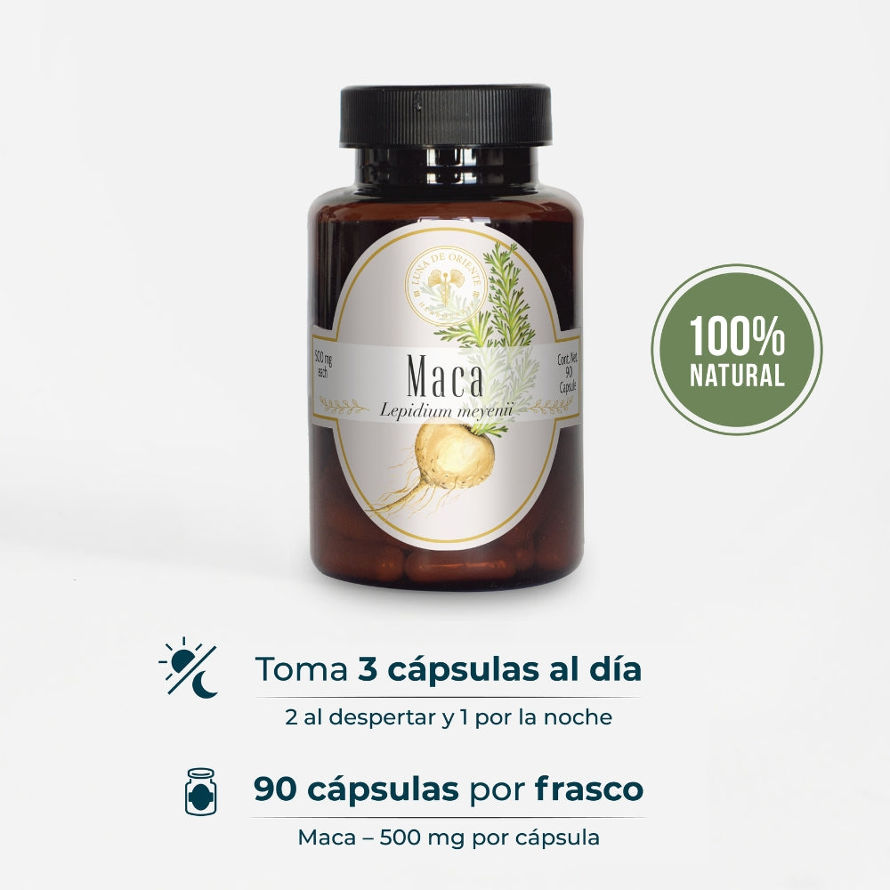 Maca