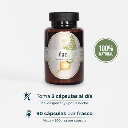 Maca