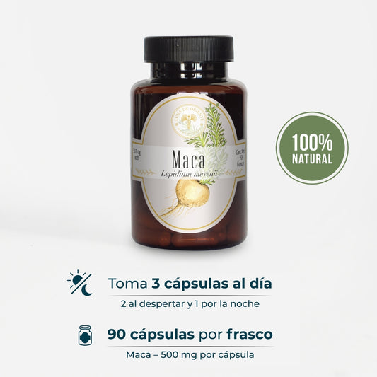 Maca