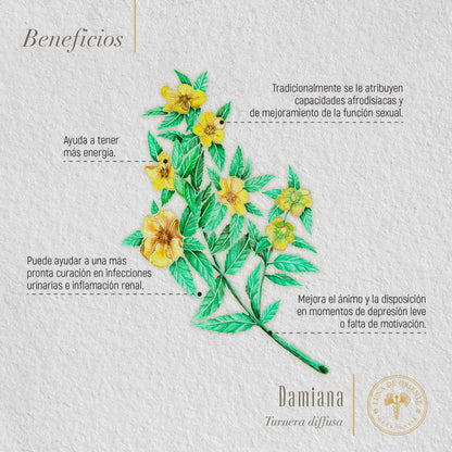 Damiana
