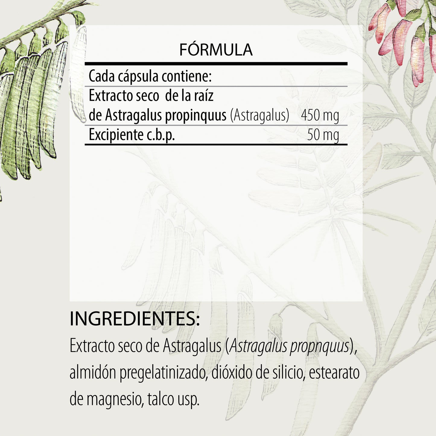 Astragalus